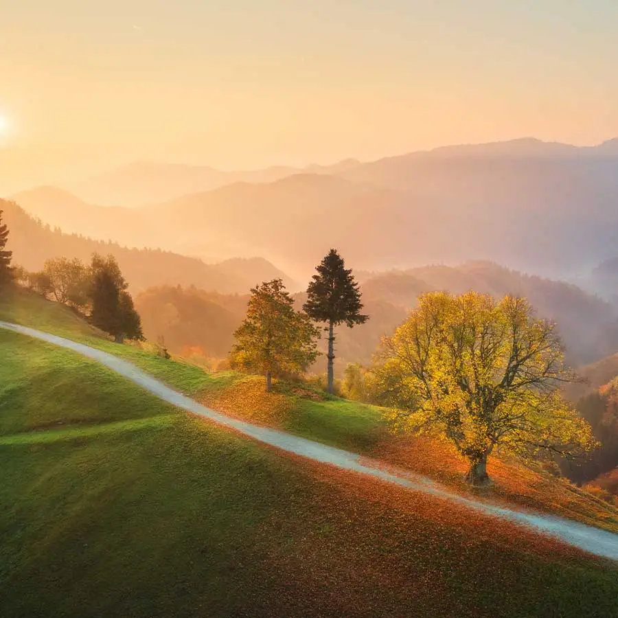 Mountain road with trees